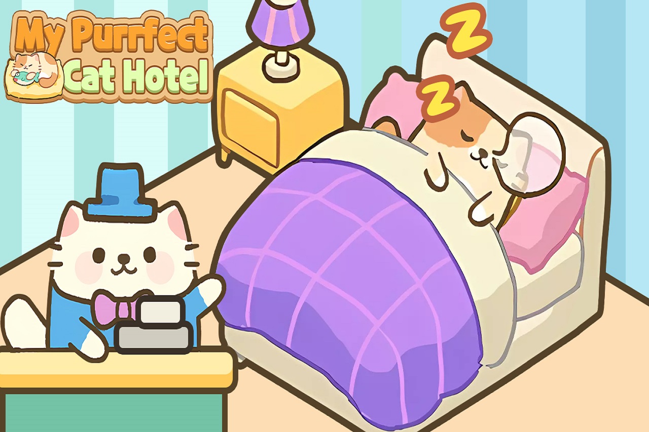 my-purrfect-cat-hotel